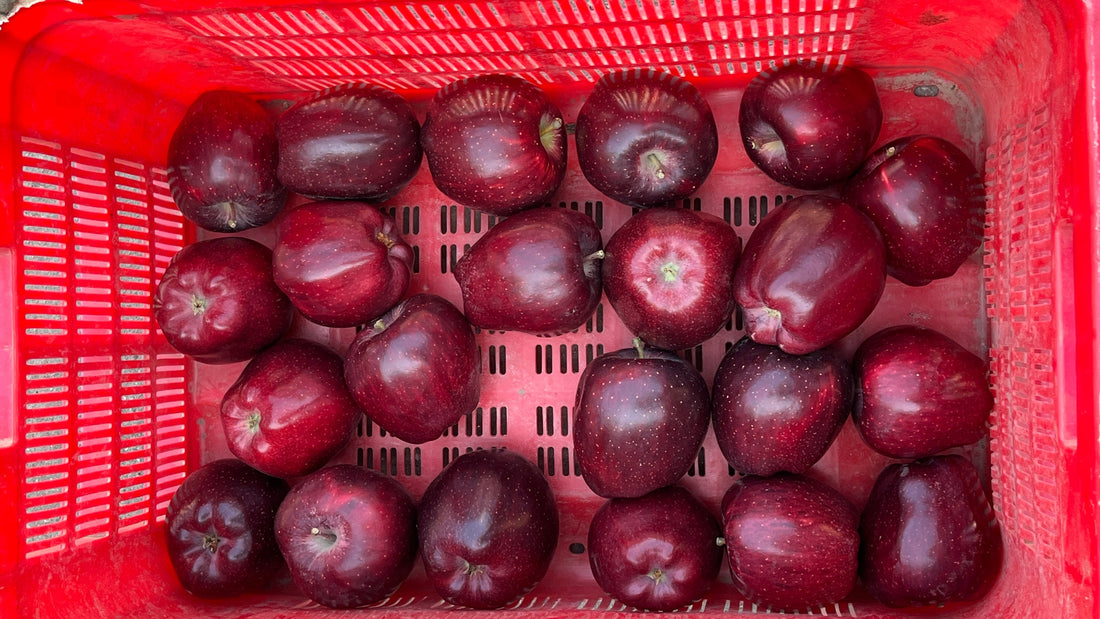 5 Simple Health Benefits of Eating Fresh Apples Every Day